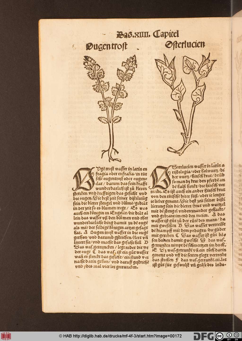 http://diglib.hab.de/drucke/mf-4f-3/00172.jpg