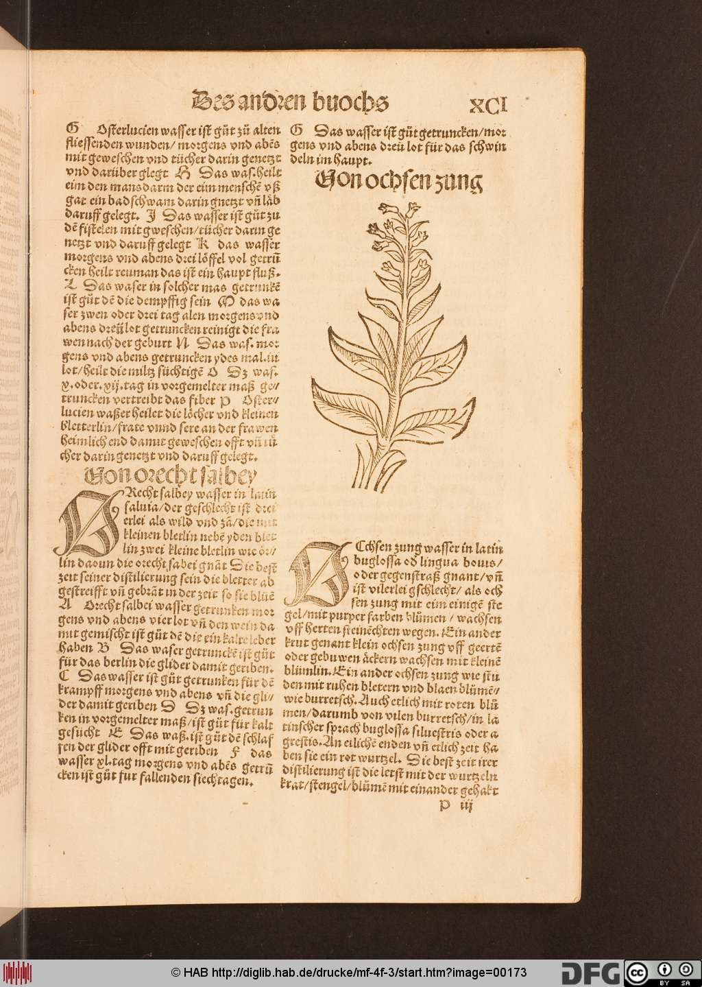 http://diglib.hab.de/drucke/mf-4f-3/00173.jpg