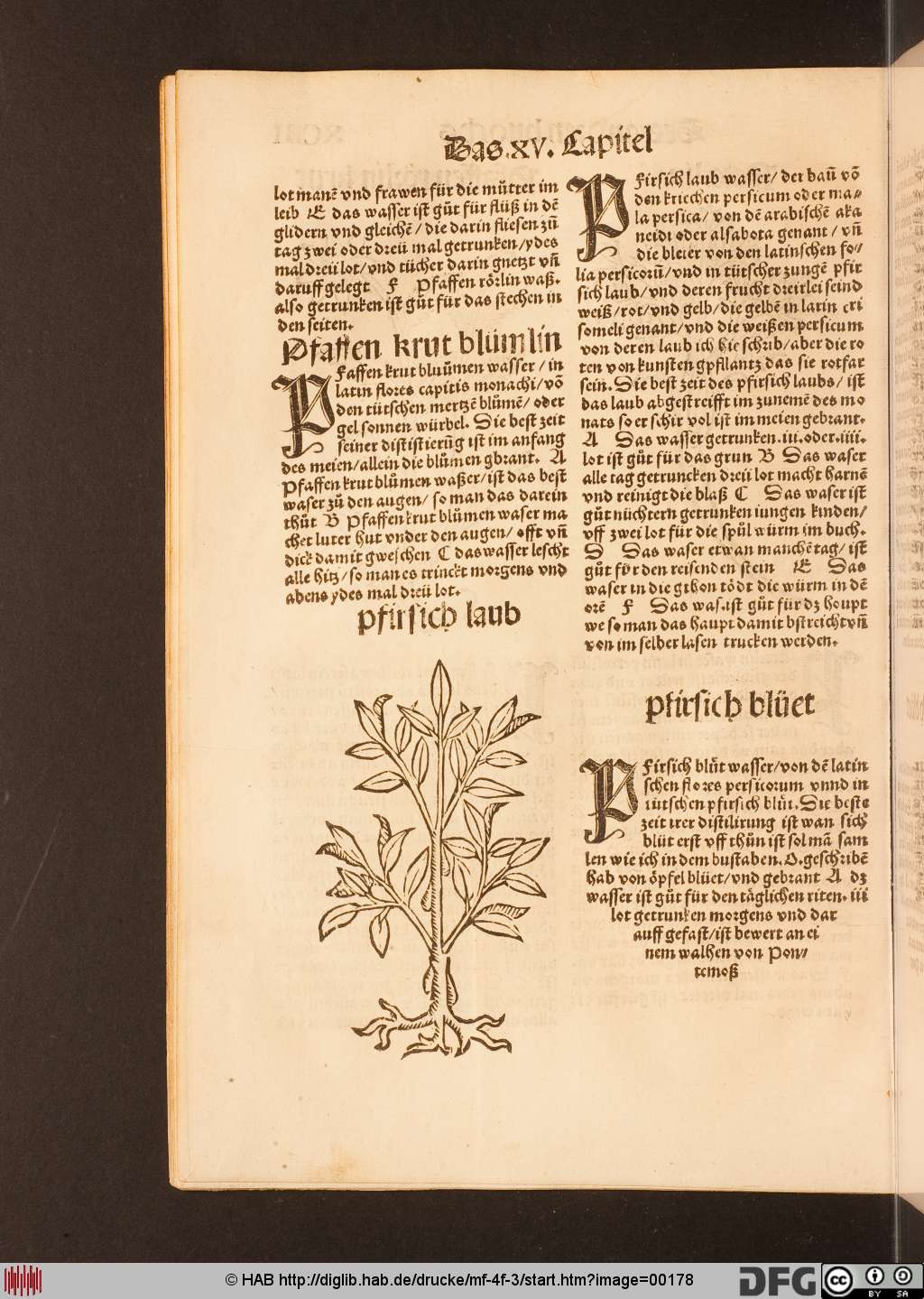 http://diglib.hab.de/drucke/mf-4f-3/00178.jpg