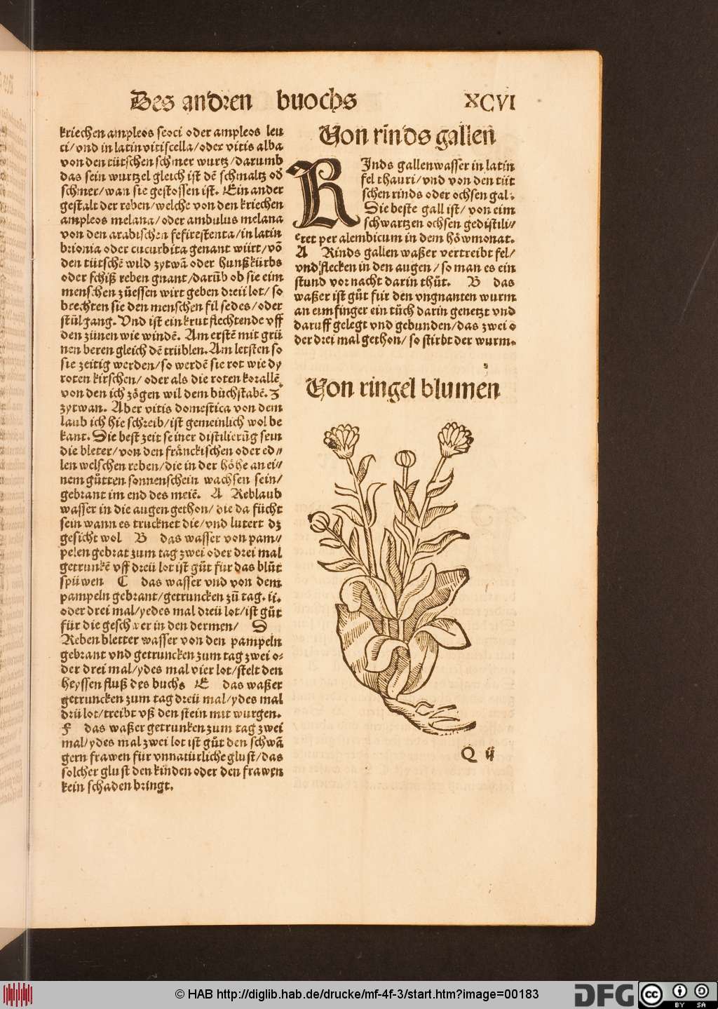 http://diglib.hab.de/drucke/mf-4f-3/00183.jpg