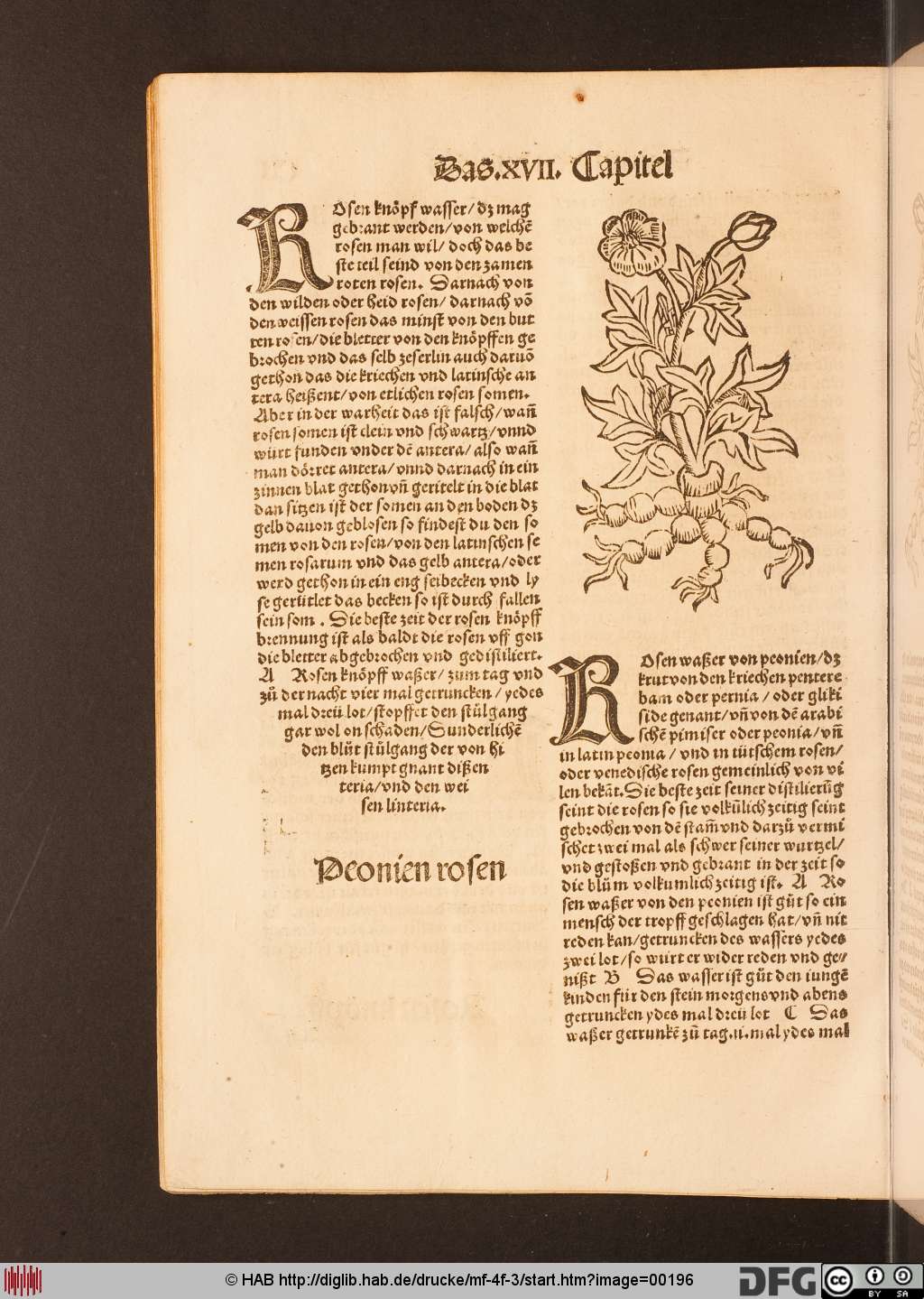 http://diglib.hab.de/drucke/mf-4f-3/00196.jpg