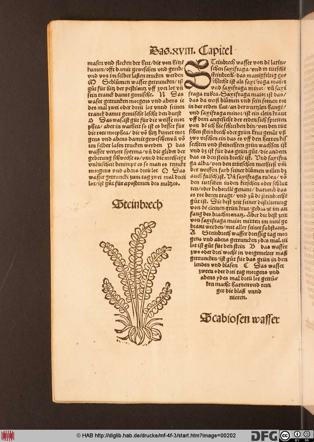 http://diglib.hab.de/drucke/mf-4f-3/00202.jpg