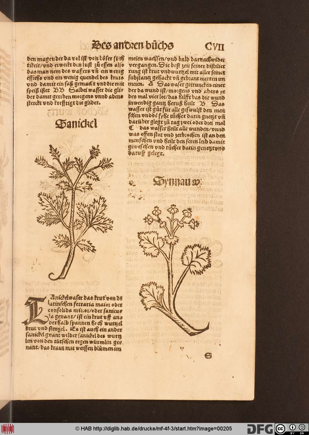 http://diglib.hab.de/drucke/mf-4f-3/00205.jpg