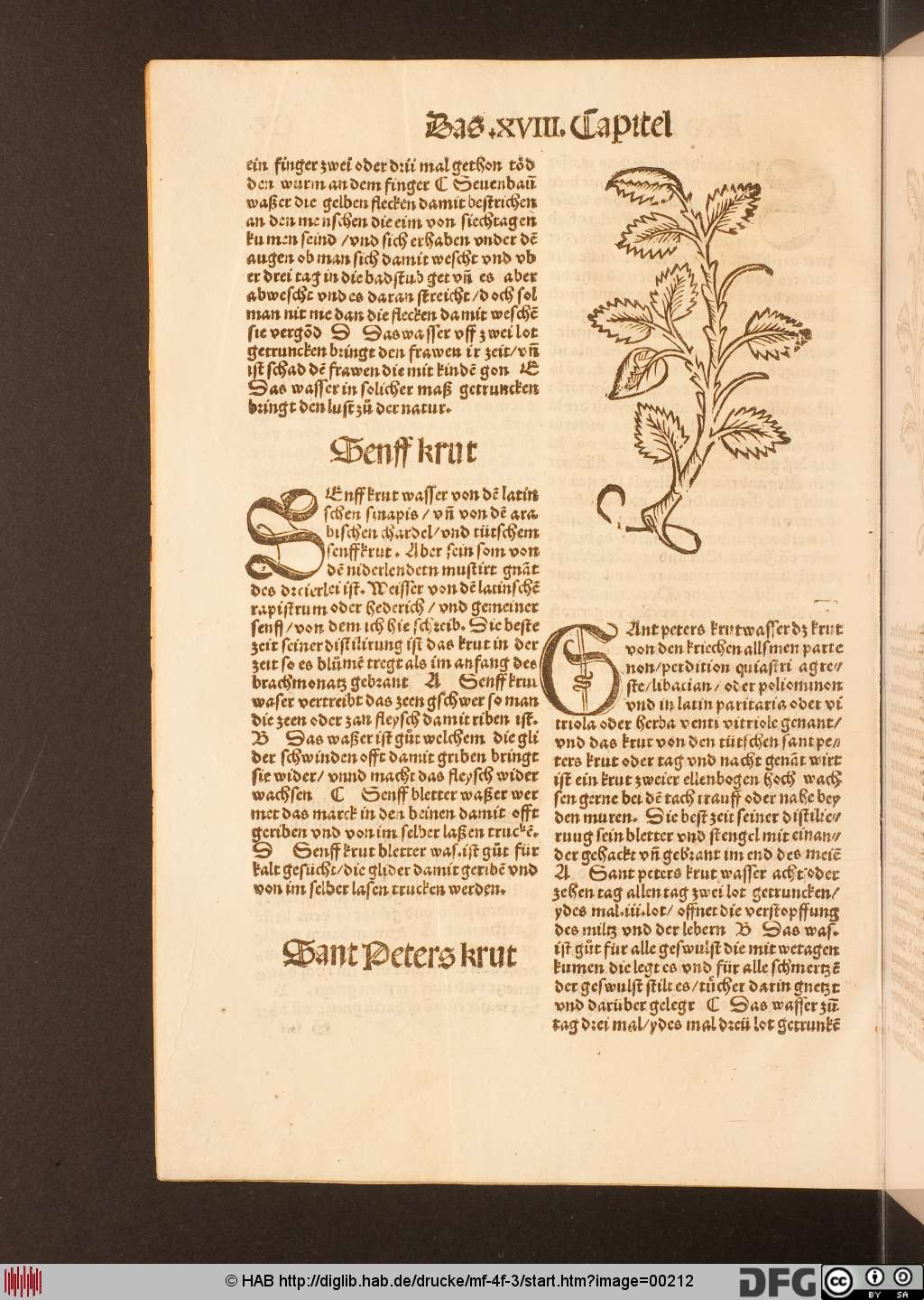 http://diglib.hab.de/drucke/mf-4f-3/00212.jpg