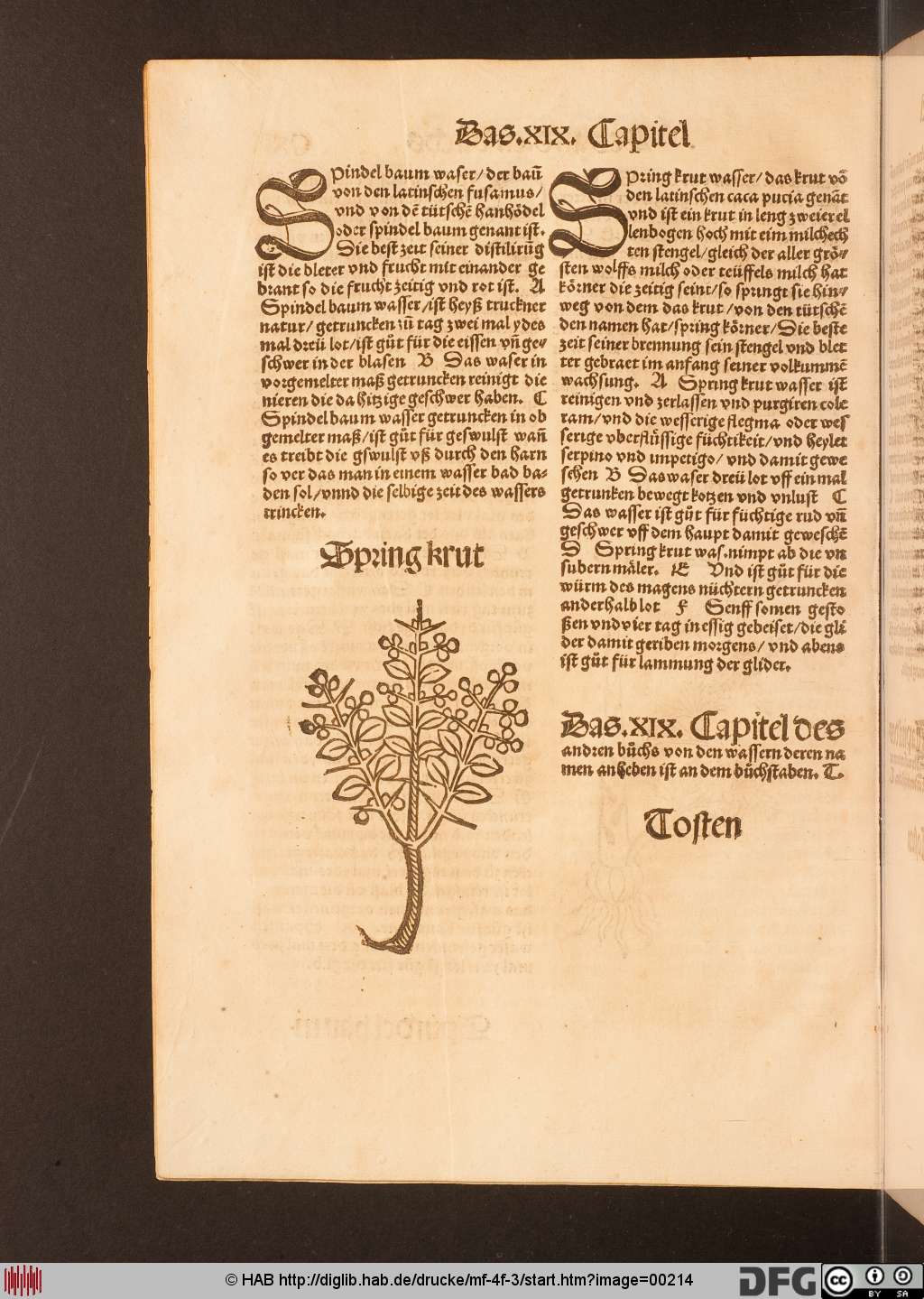 http://diglib.hab.de/drucke/mf-4f-3/00214.jpg