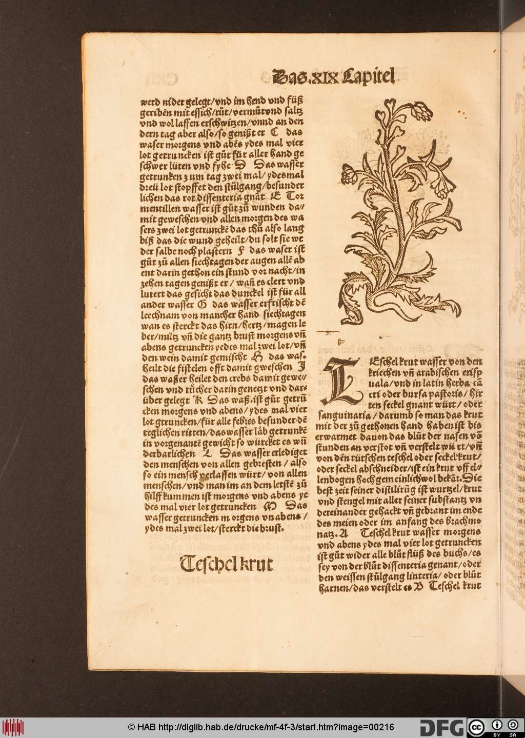 http://diglib.hab.de/drucke/mf-4f-3/00216.jpg