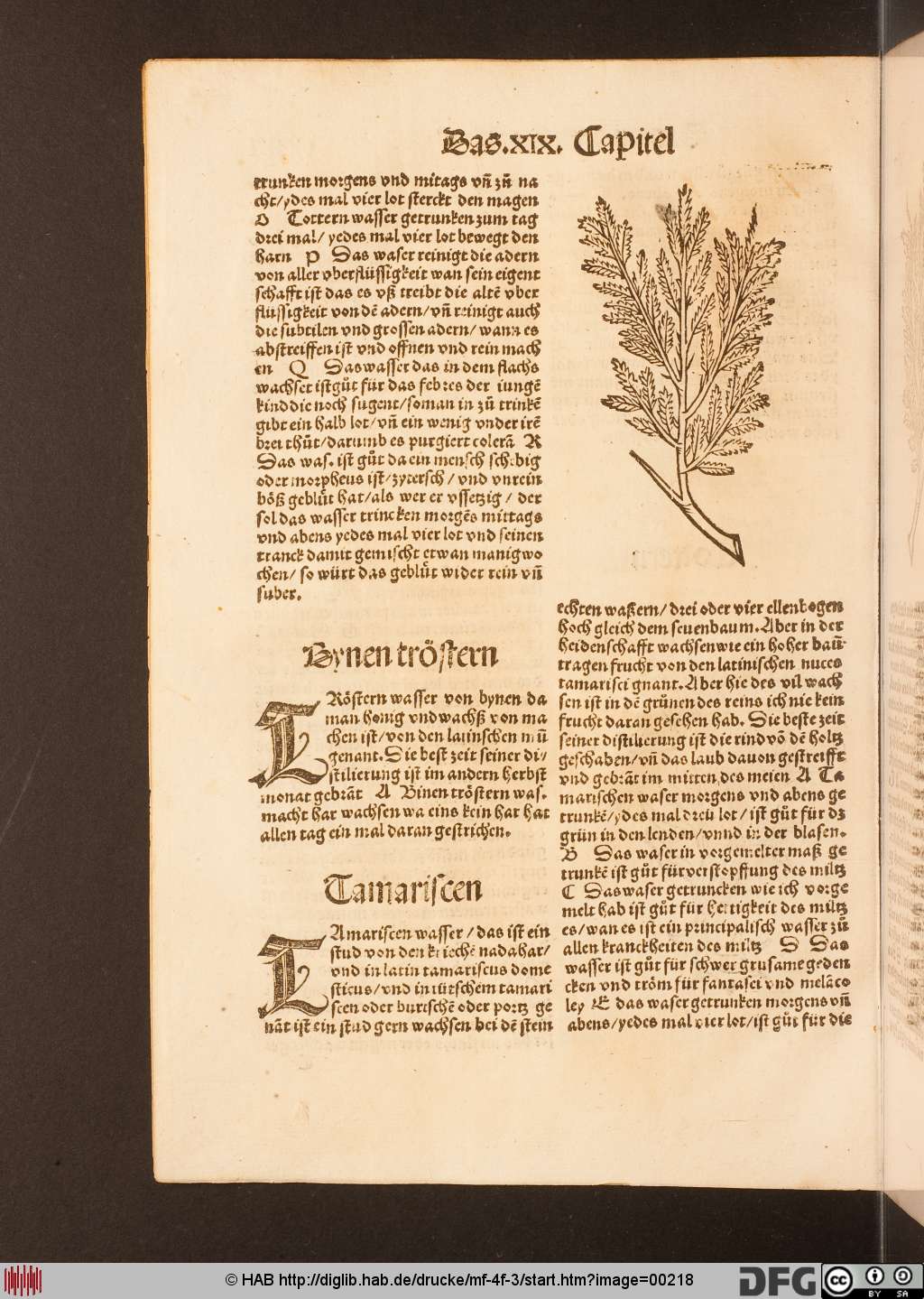 http://diglib.hab.de/drucke/mf-4f-3/00218.jpg