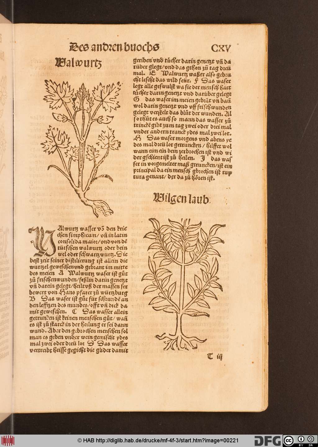 http://diglib.hab.de/drucke/mf-4f-3/00221.jpg
