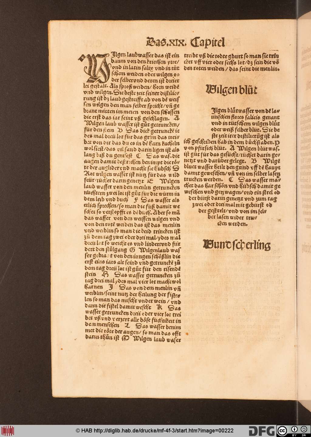 http://diglib.hab.de/drucke/mf-4f-3/00222.jpg