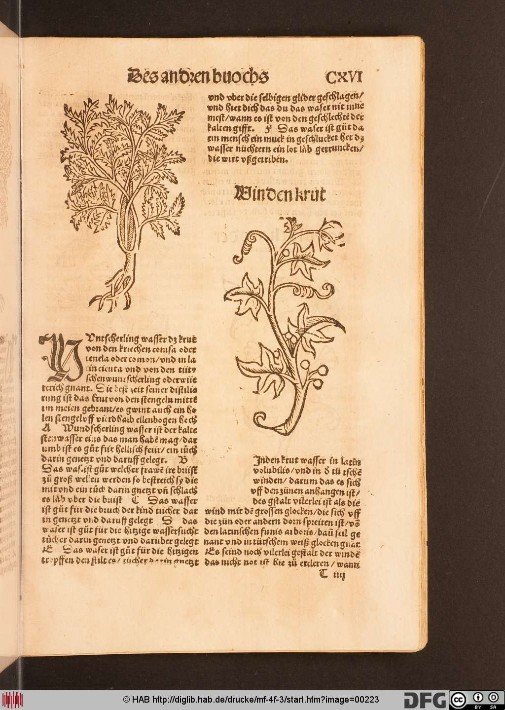 http://diglib.hab.de/drucke/mf-4f-3/00223.jpg