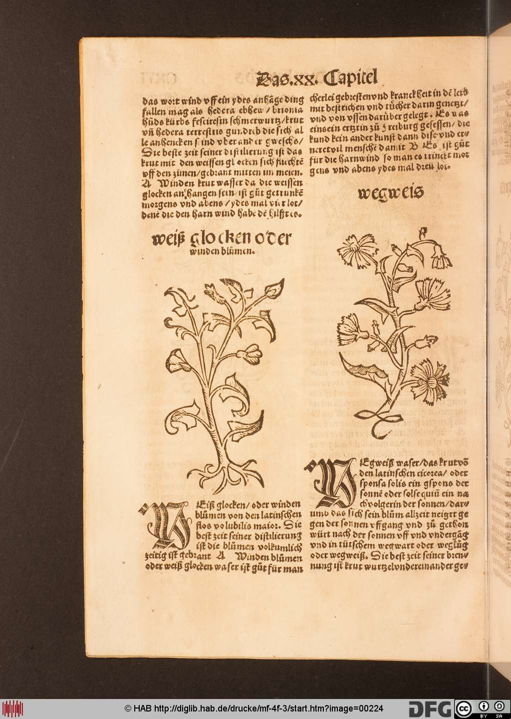 http://diglib.hab.de/drucke/mf-4f-3/00224.jpg