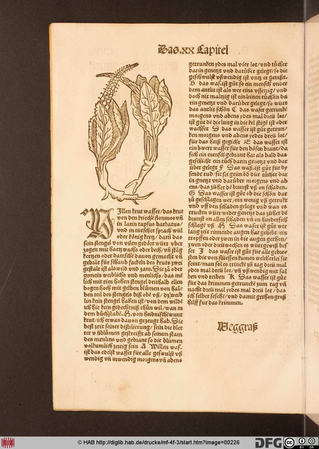http://diglib.hab.de/drucke/mf-4f-3/00226.jpg