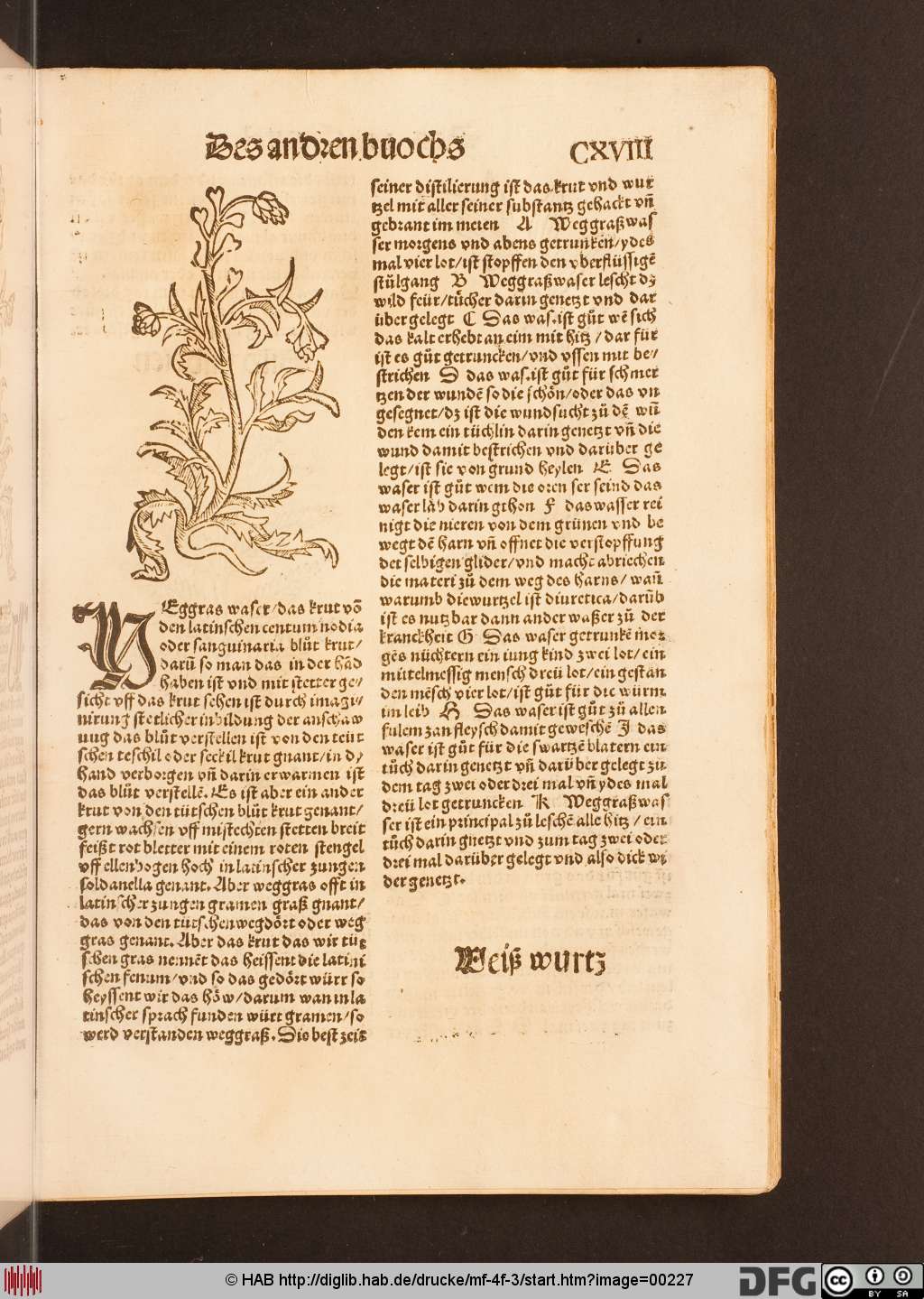 http://diglib.hab.de/drucke/mf-4f-3/00227.jpg