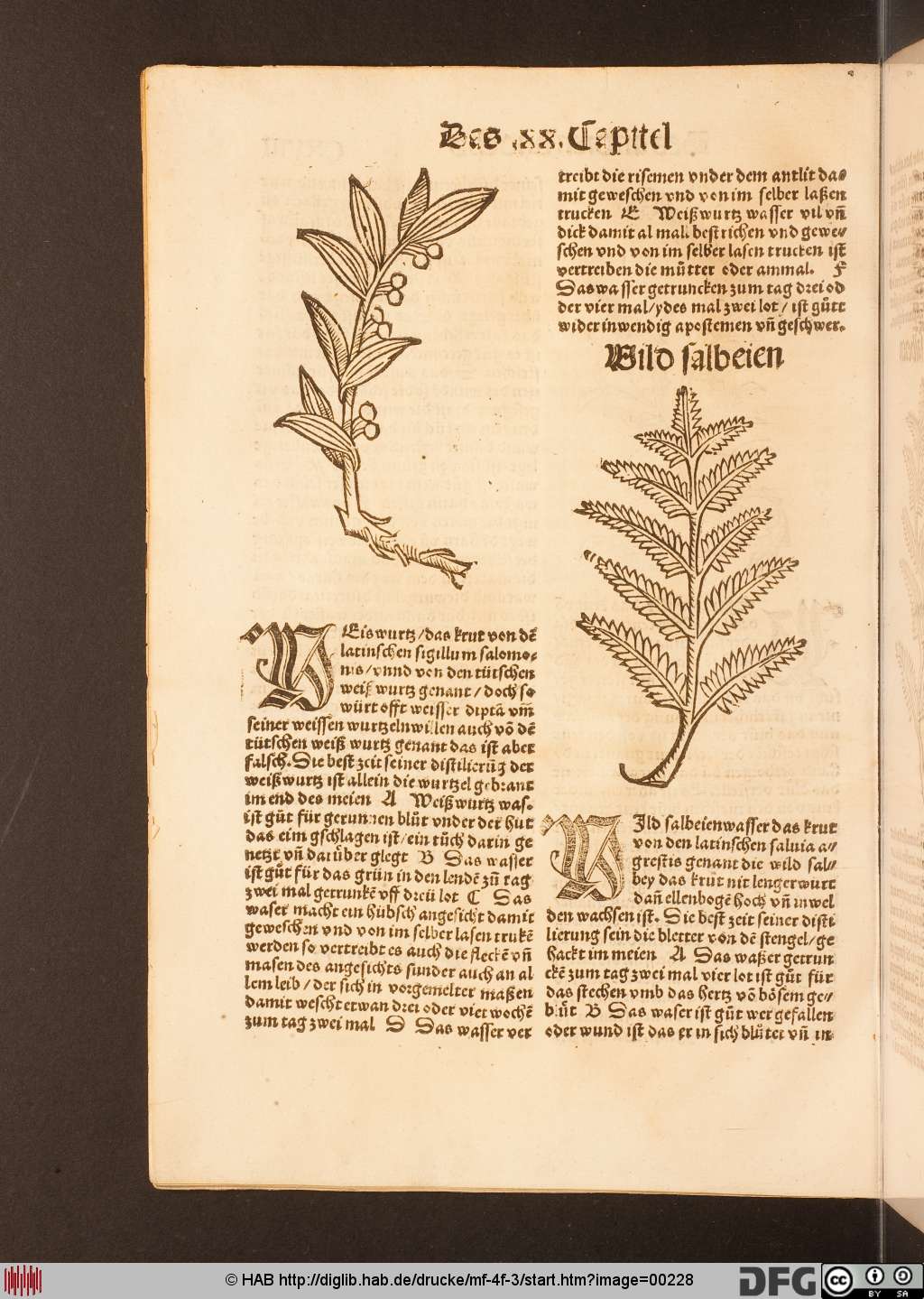 http://diglib.hab.de/drucke/mf-4f-3/00228.jpg