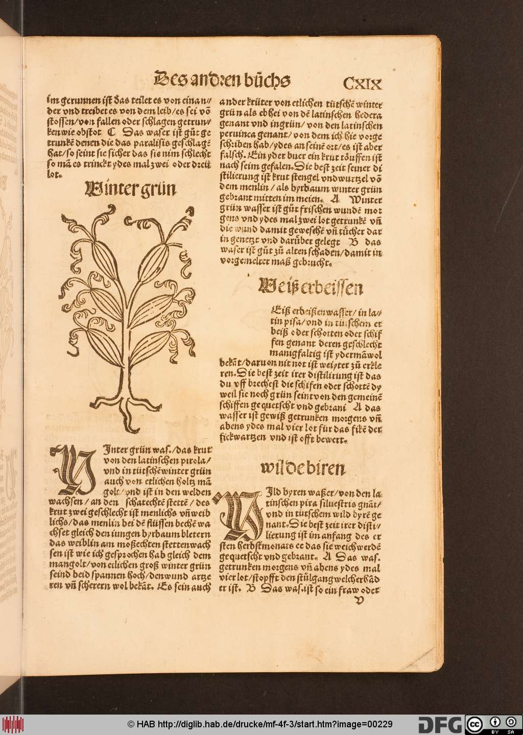 http://diglib.hab.de/drucke/mf-4f-3/00229.jpg
