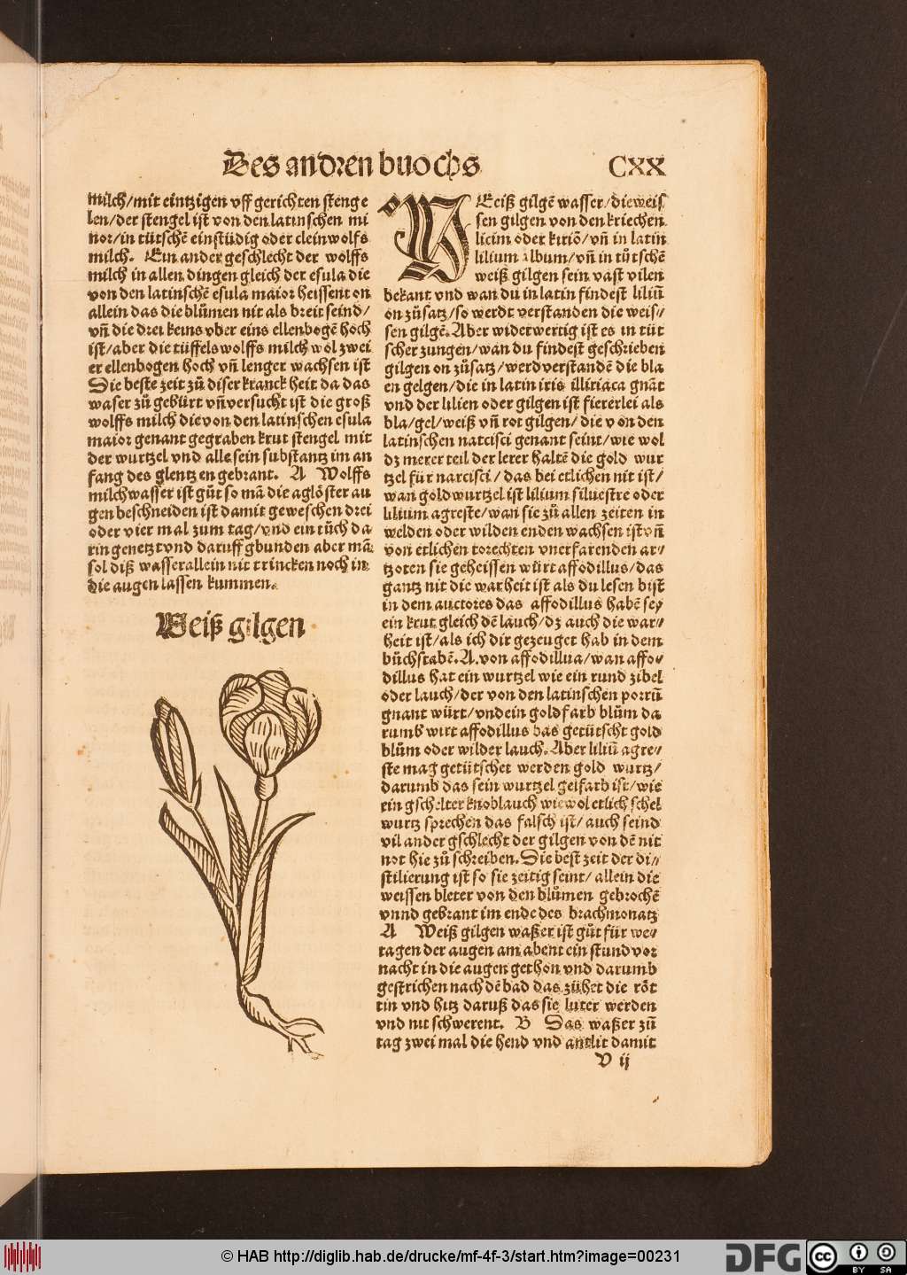 http://diglib.hab.de/drucke/mf-4f-3/00231.jpg