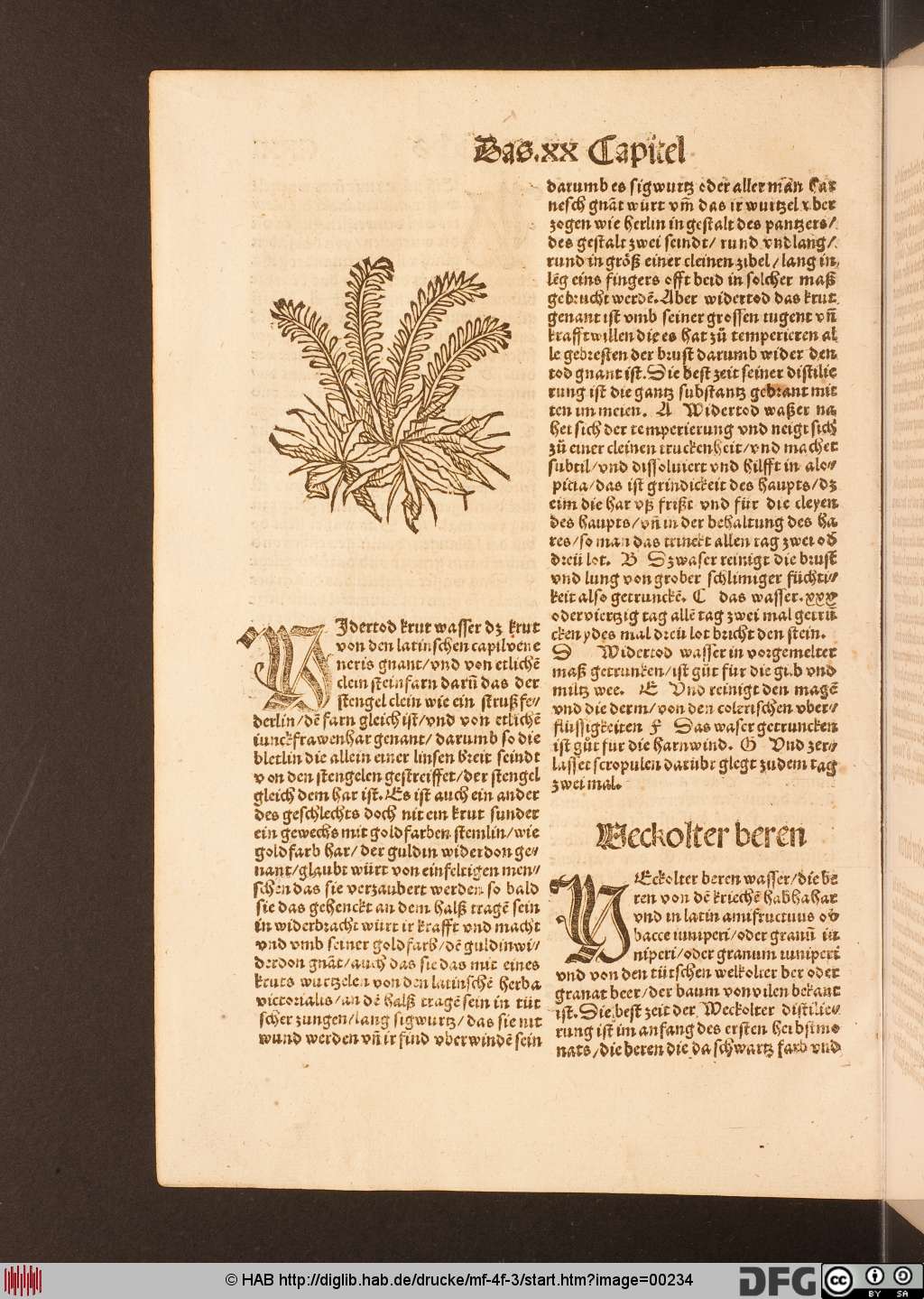http://diglib.hab.de/drucke/mf-4f-3/00234.jpg