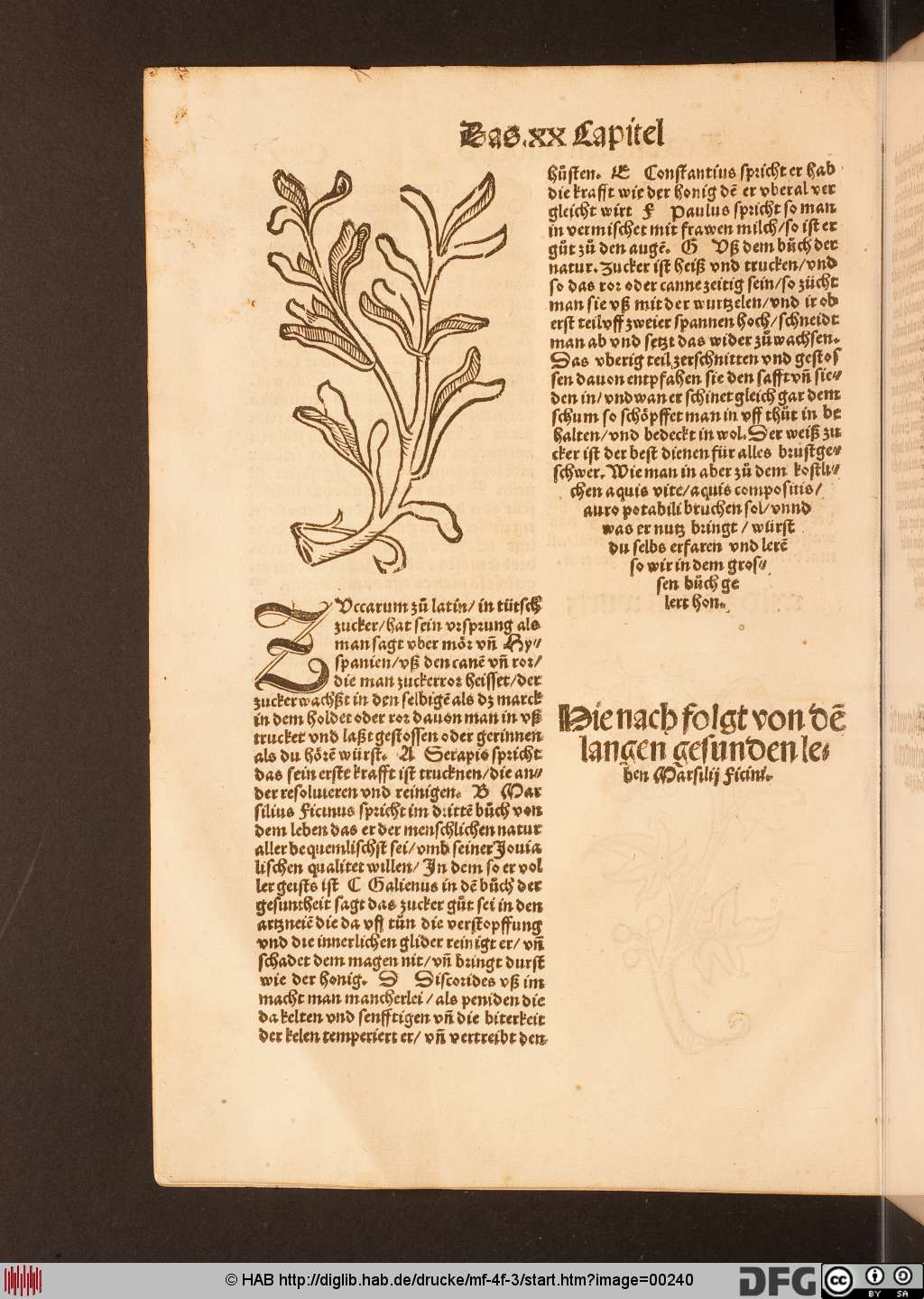 http://diglib.hab.de/drucke/mf-4f-3/00240.jpg