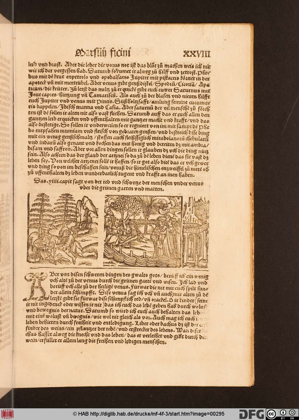 http://diglib.hab.de/drucke/mf-4f-3/00295.jpg