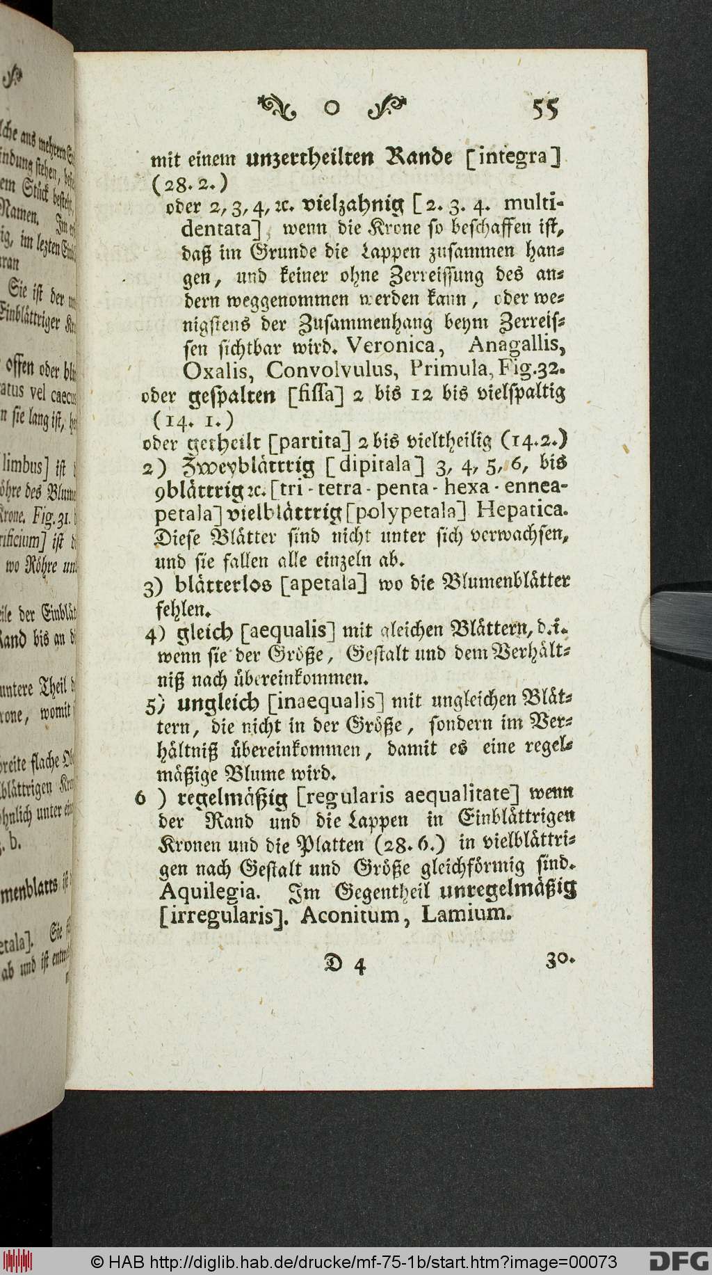 http://diglib.hab.de/drucke/mf-75-1b/00073.jpg