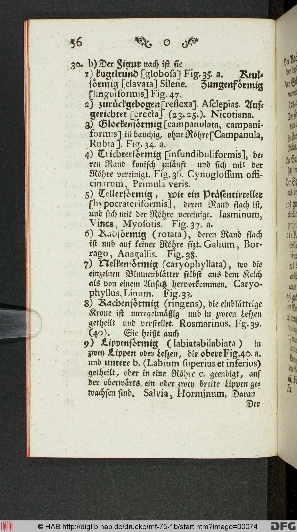 http://diglib.hab.de/drucke/mf-75-1b/00074.jpg