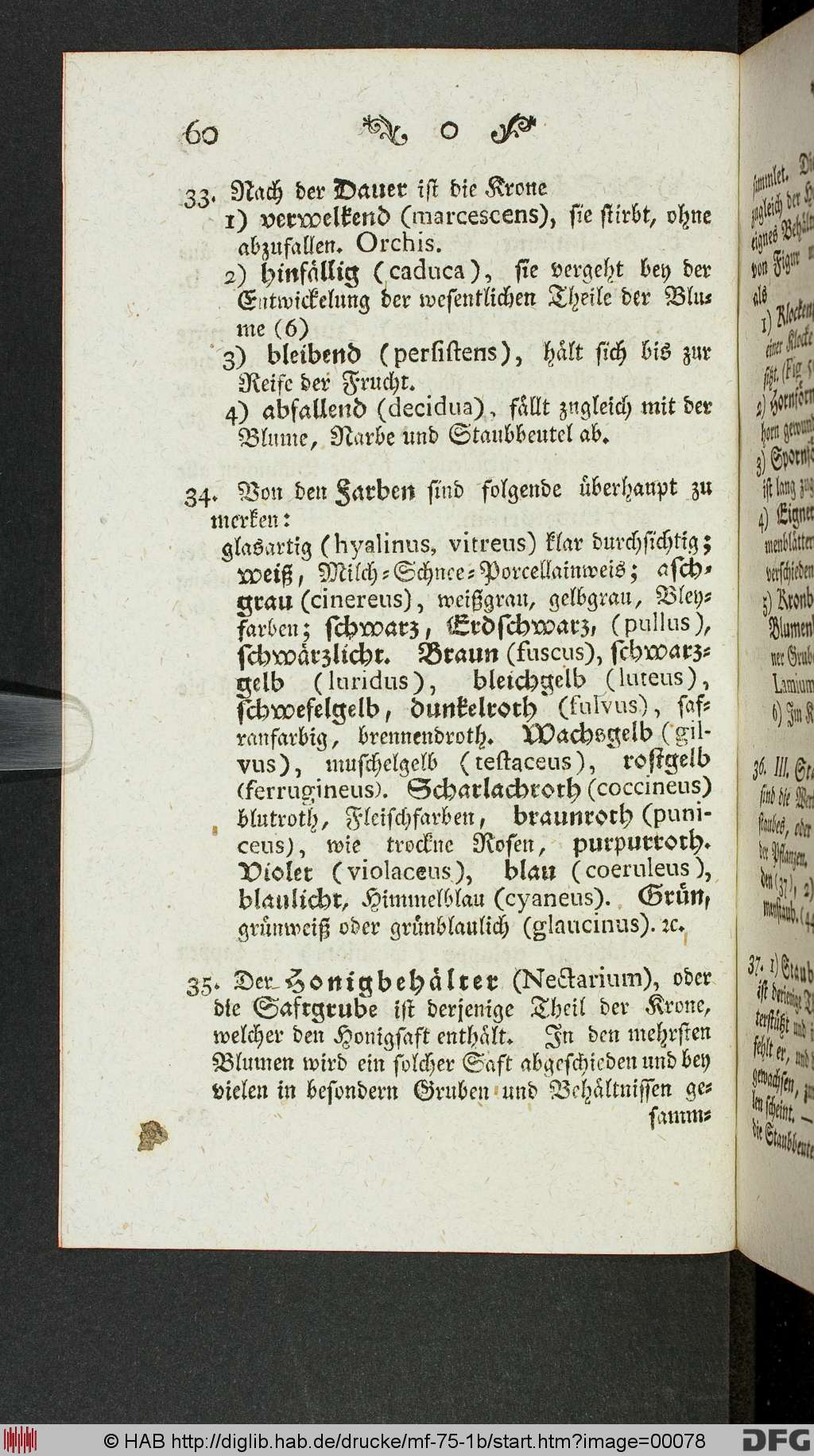 http://diglib.hab.de/drucke/mf-75-1b/00078.jpg