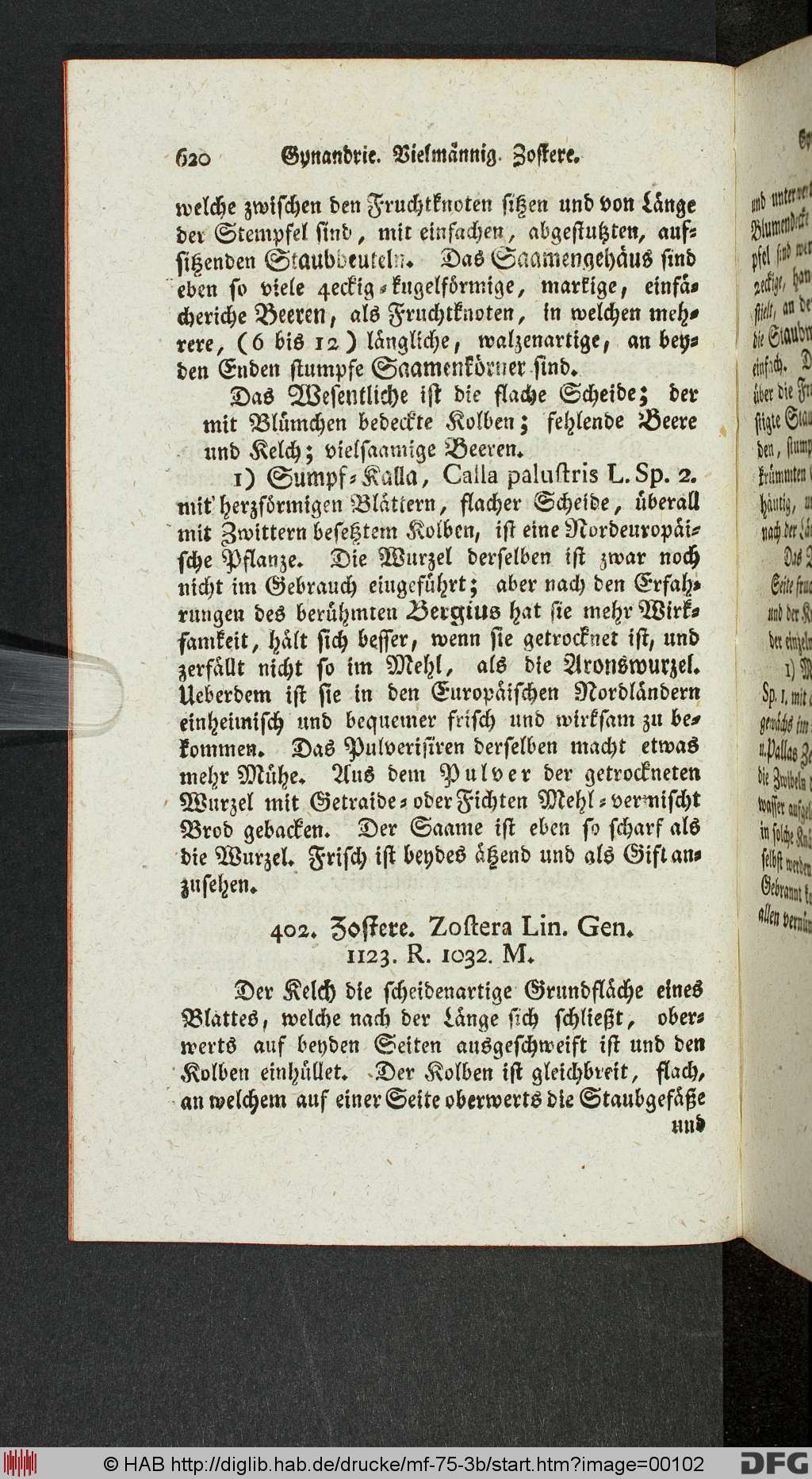 http://diglib.hab.de/drucke/mf-75-3b/00102.jpg
