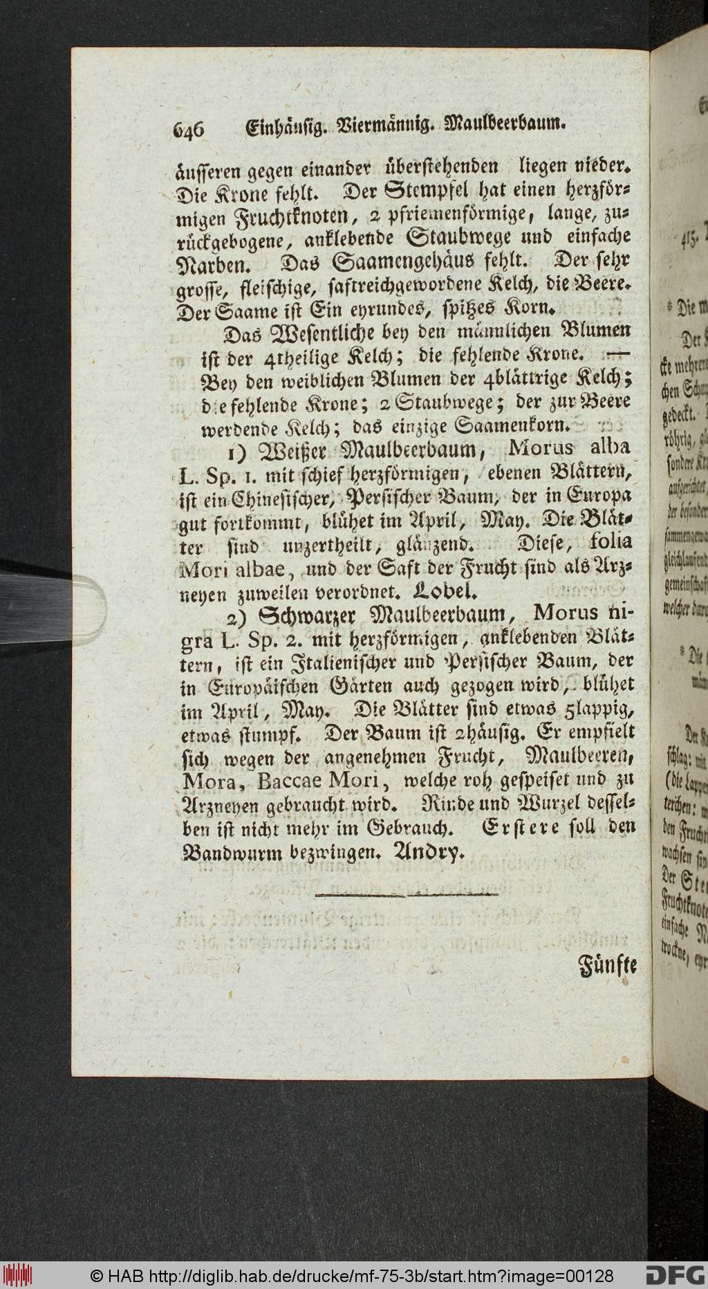 http://diglib.hab.de/drucke/mf-75-3b/00128.jpg