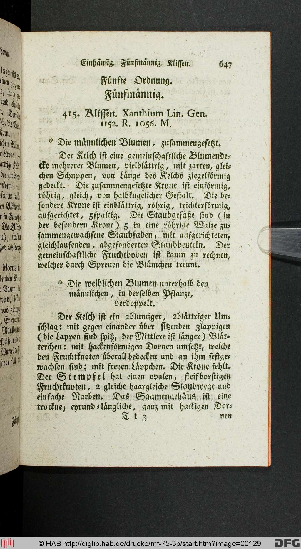 http://diglib.hab.de/drucke/mf-75-3b/00129.jpg