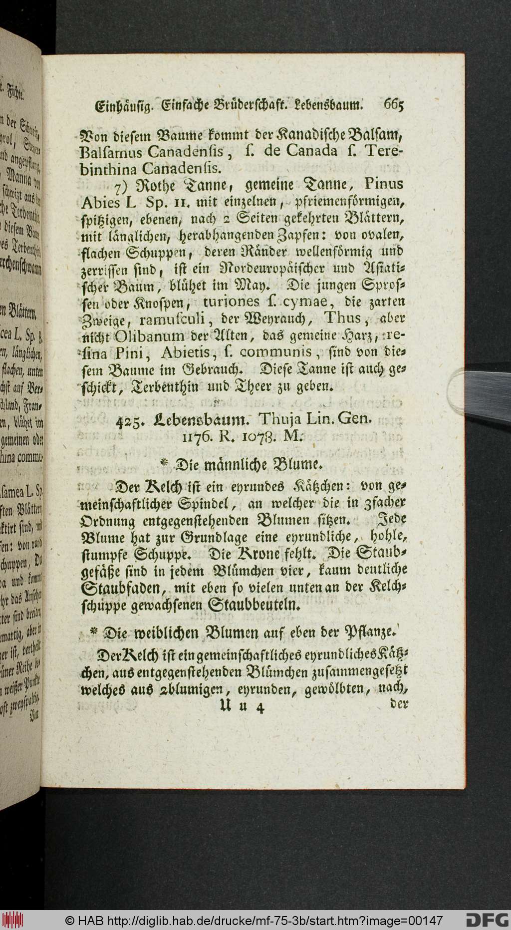 http://diglib.hab.de/drucke/mf-75-3b/00147.jpg