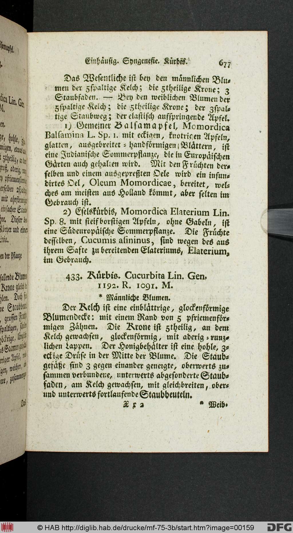 http://diglib.hab.de/drucke/mf-75-3b/00159.jpg