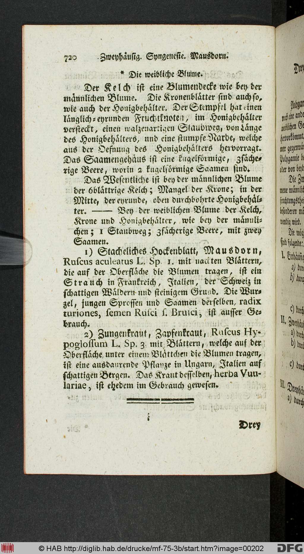 http://diglib.hab.de/drucke/mf-75-3b/00202.jpg
