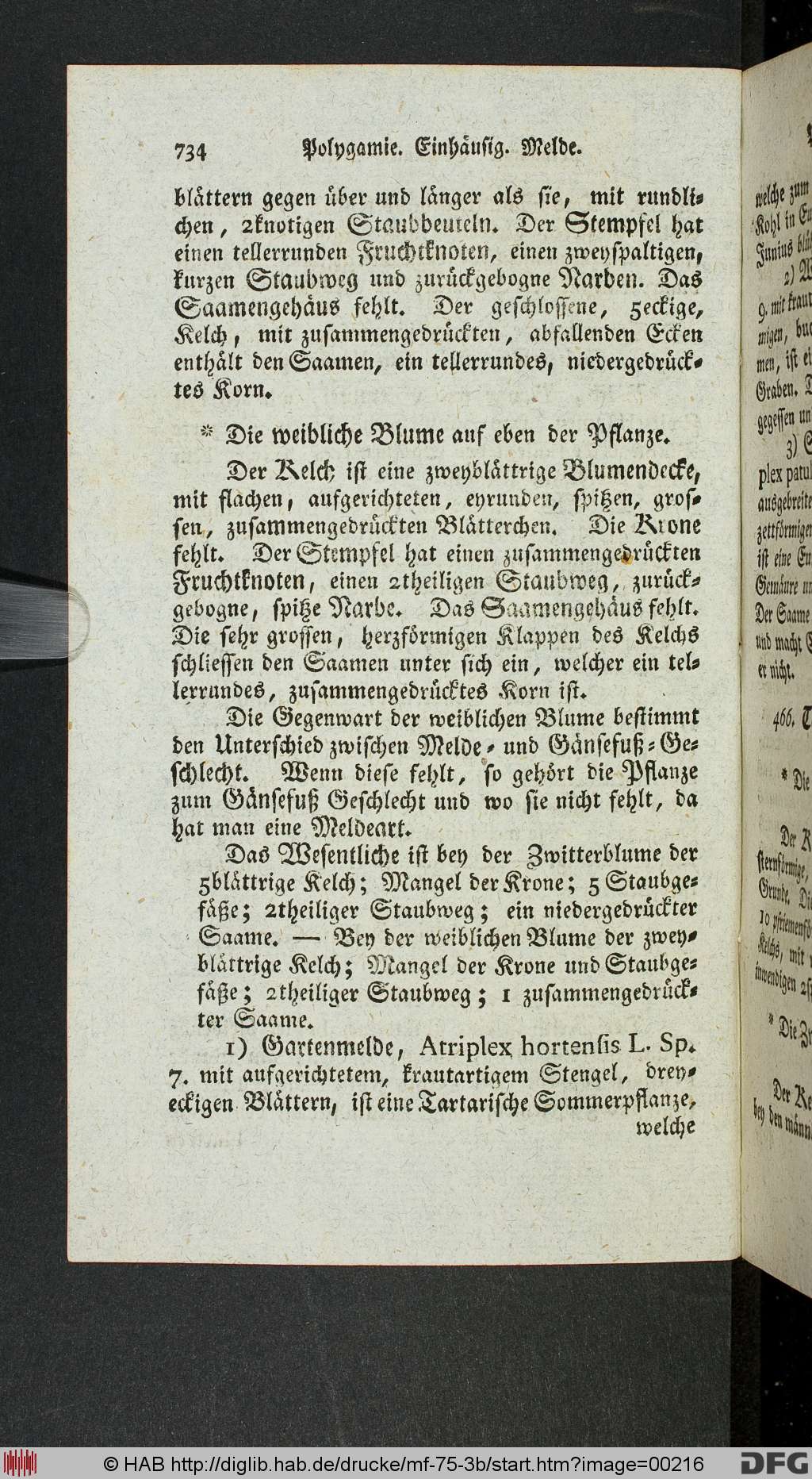 http://diglib.hab.de/drucke/mf-75-3b/00216.jpg