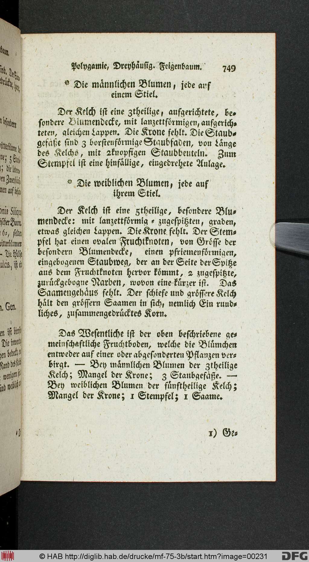 http://diglib.hab.de/drucke/mf-75-3b/00231.jpg