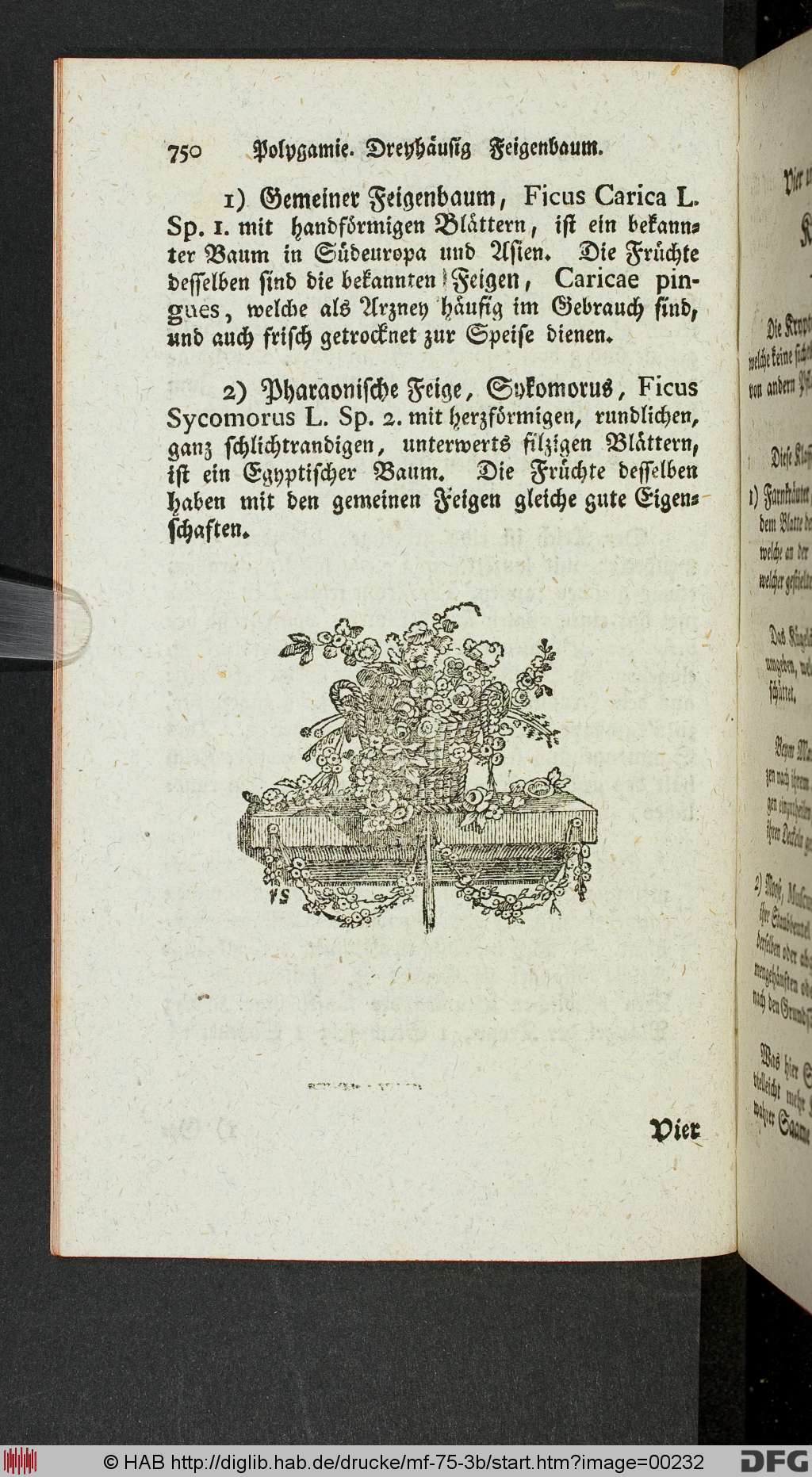 http://diglib.hab.de/drucke/mf-75-3b/00232.jpg