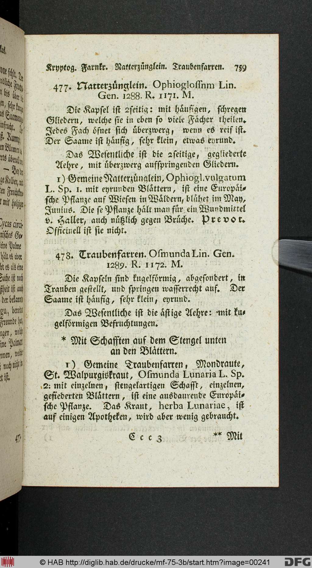 http://diglib.hab.de/drucke/mf-75-3b/00241.jpg