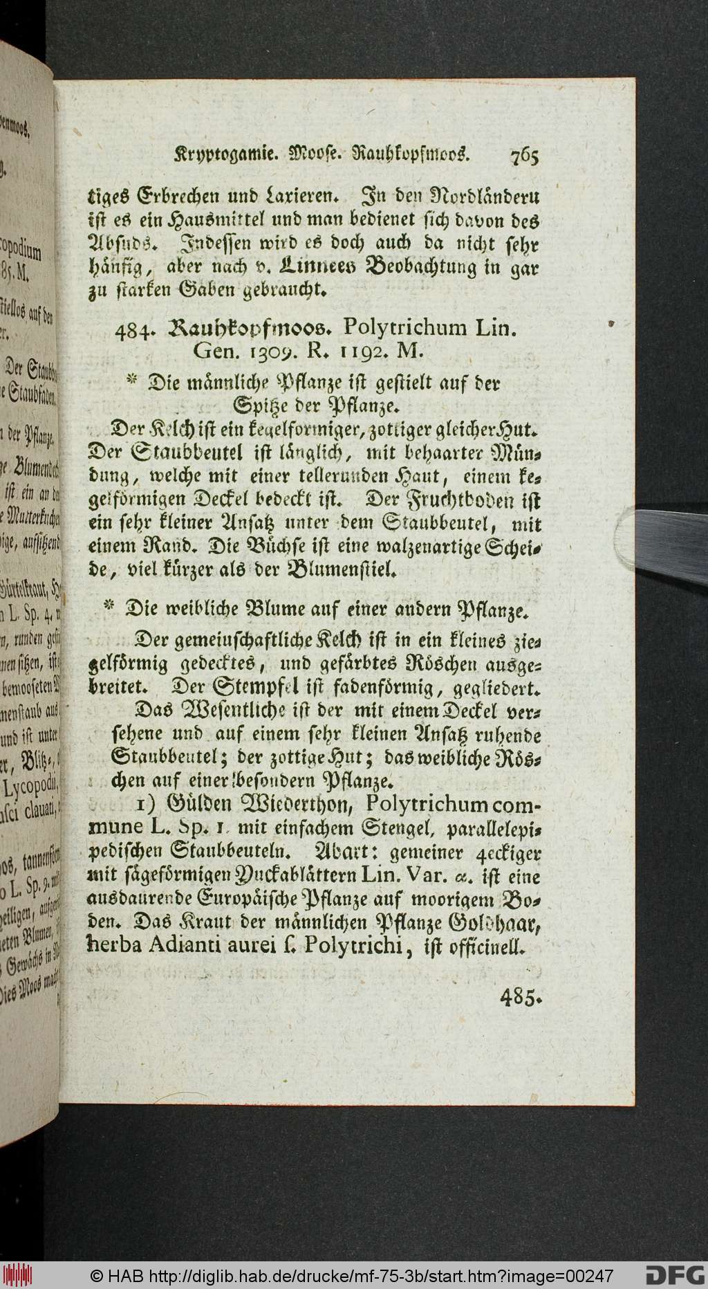 http://diglib.hab.de/drucke/mf-75-3b/00247.jpg