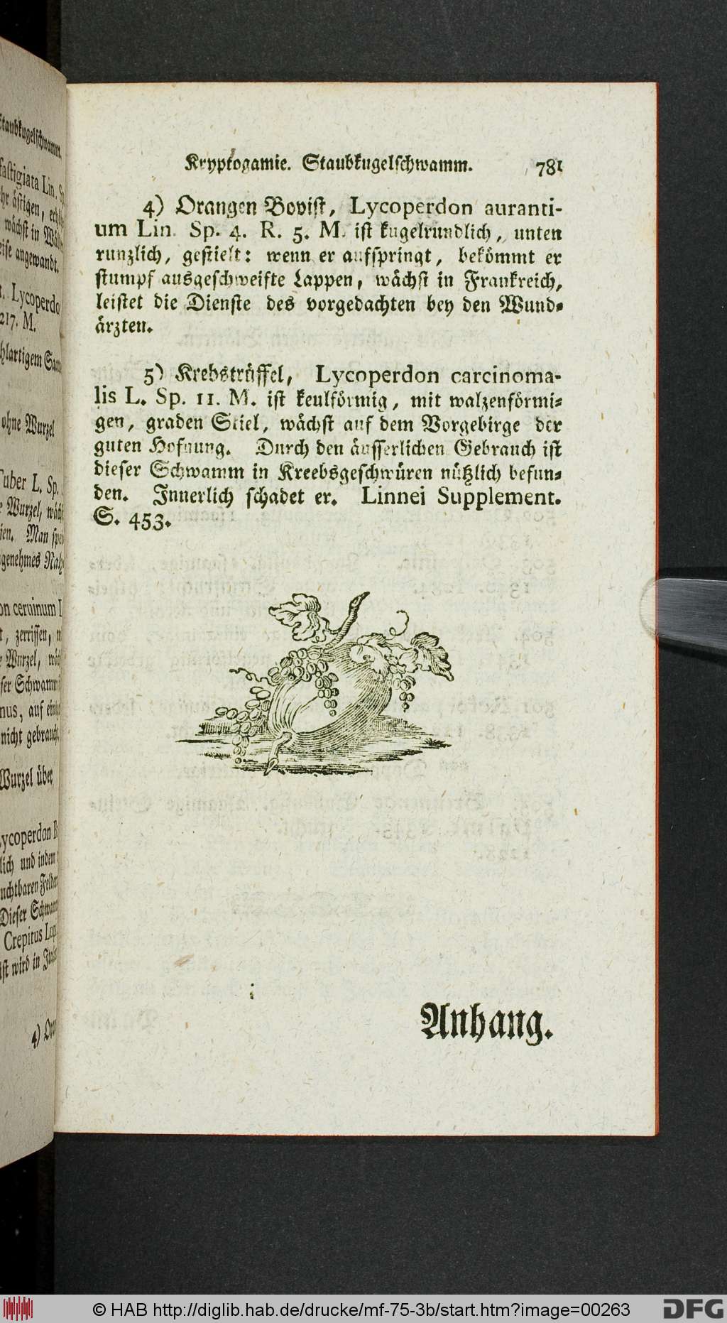 http://diglib.hab.de/drucke/mf-75-3b/00263.jpg