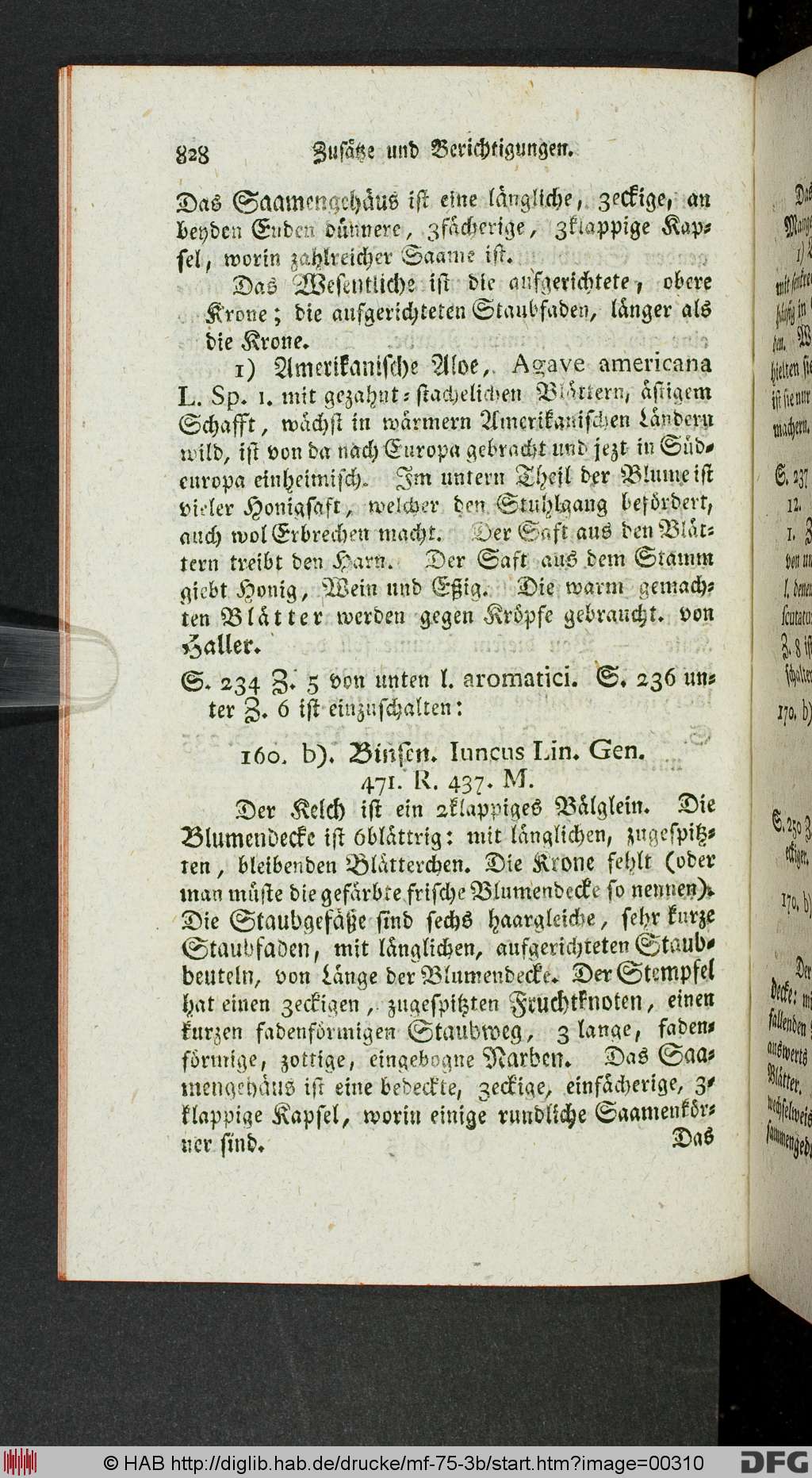 http://diglib.hab.de/drucke/mf-75-3b/00310.jpg