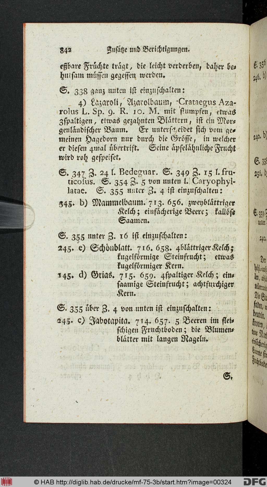 http://diglib.hab.de/drucke/mf-75-3b/00324.jpg