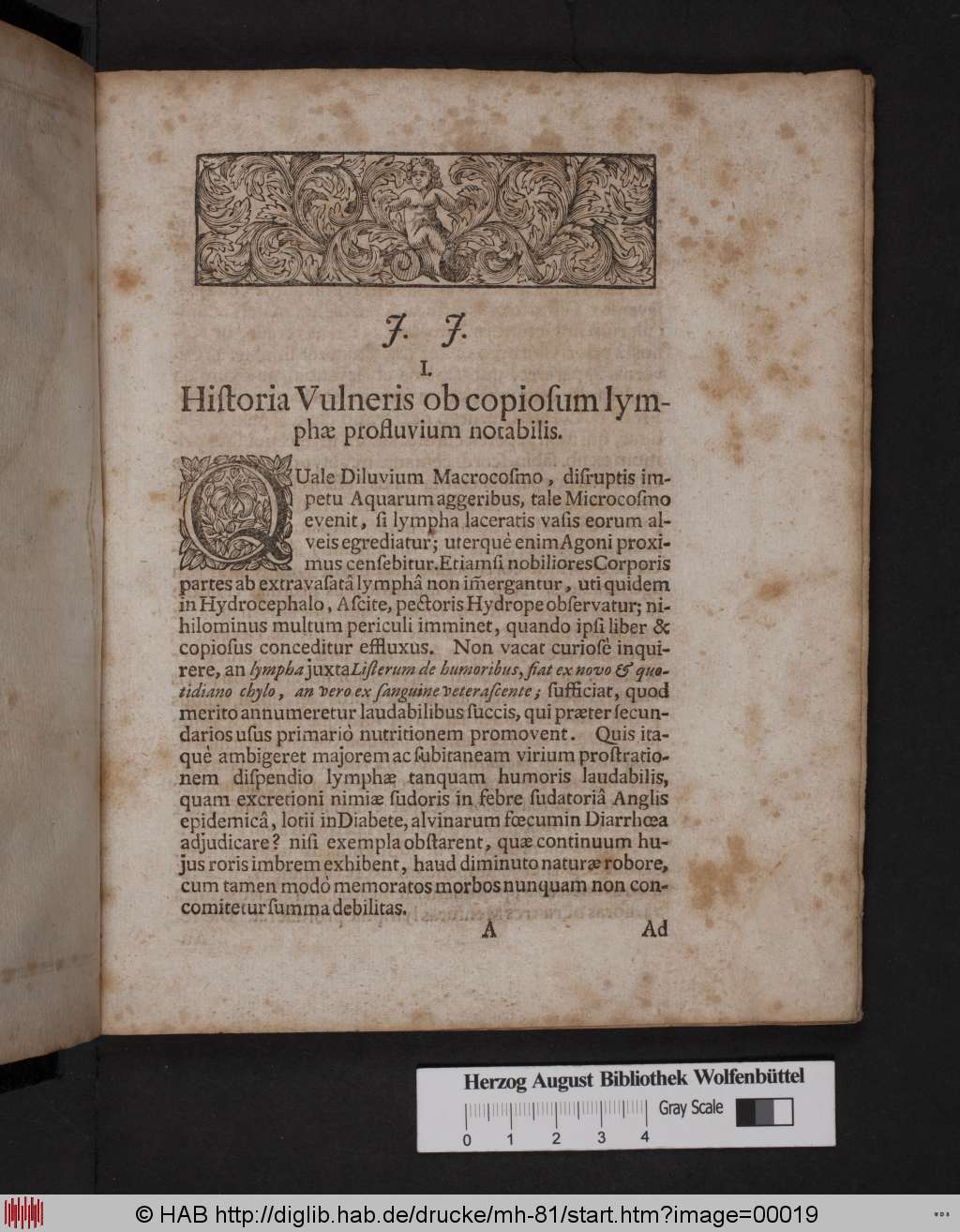 http://diglib.hab.de/drucke/mh-81/00019.jpg