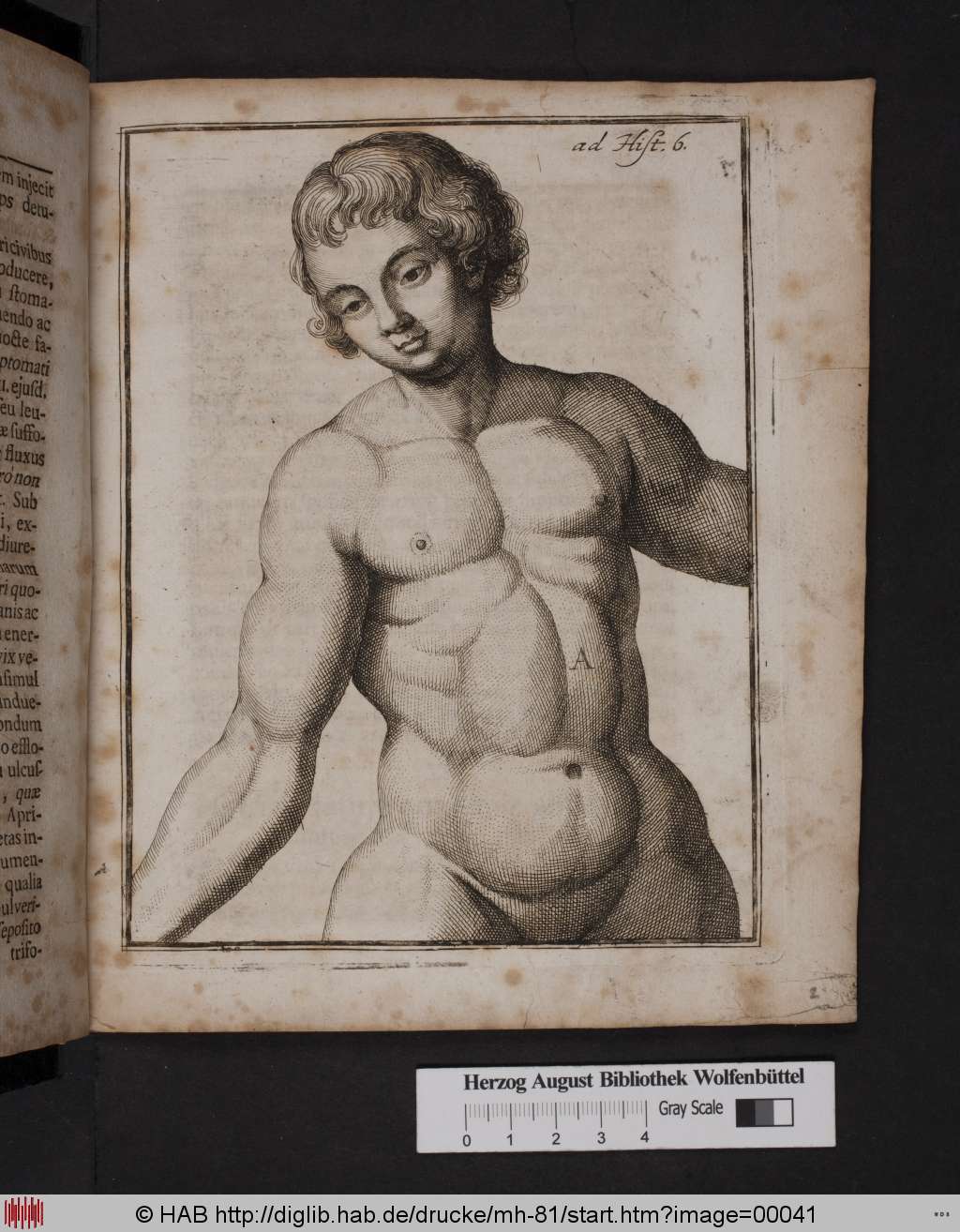 http://diglib.hab.de/drucke/mh-81/00041.jpg