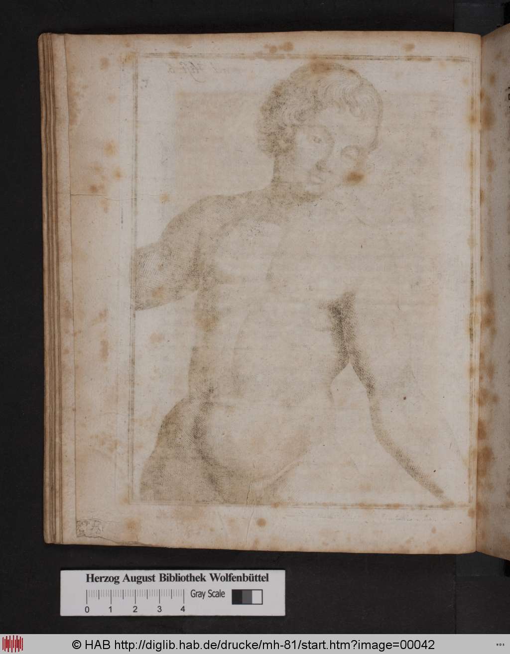 http://diglib.hab.de/drucke/mh-81/00042.jpg