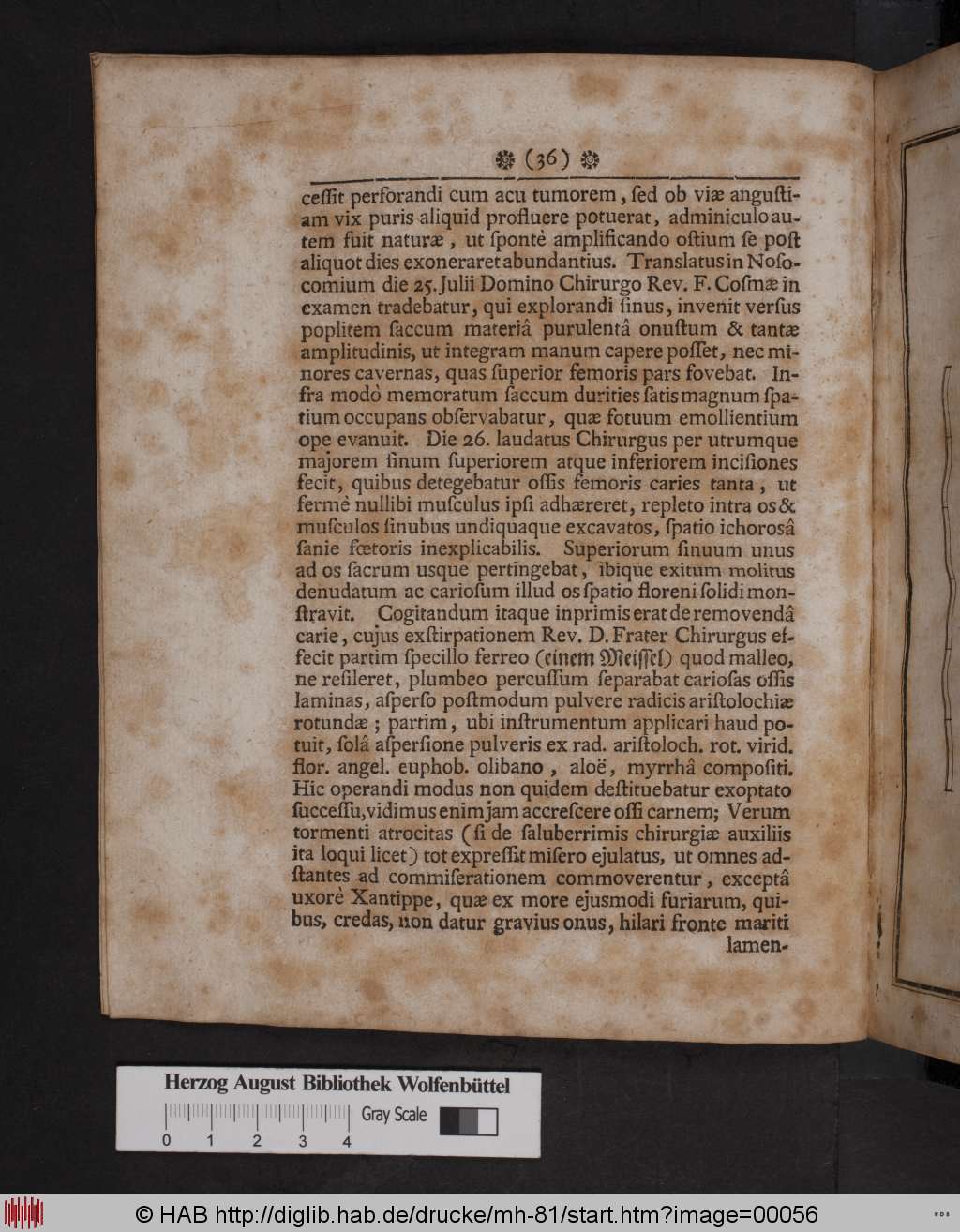 http://diglib.hab.de/drucke/mh-81/00056.jpg