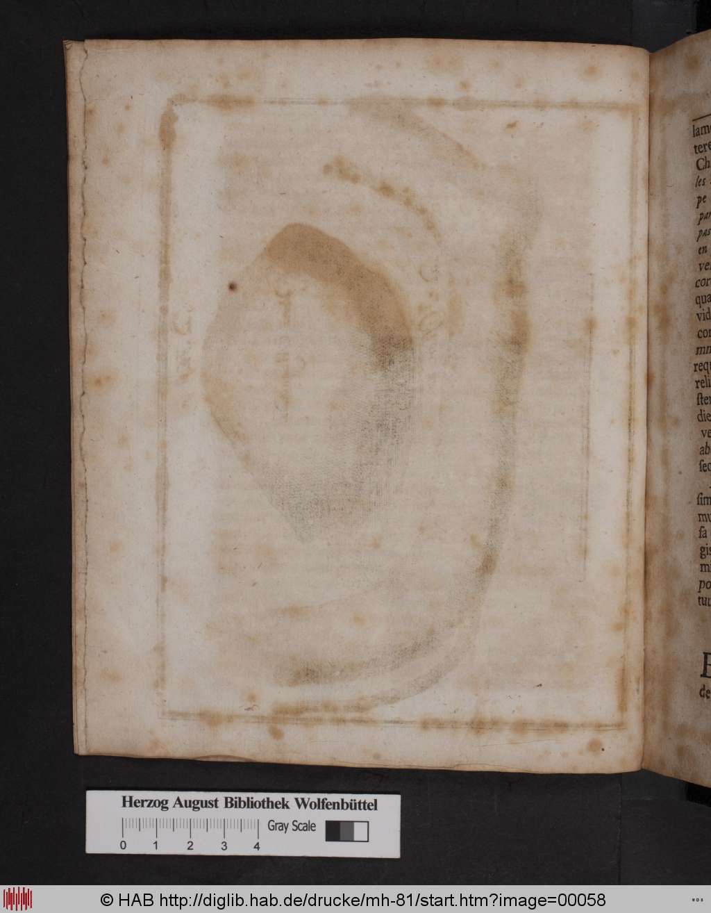 http://diglib.hab.de/drucke/mh-81/00058.jpg
