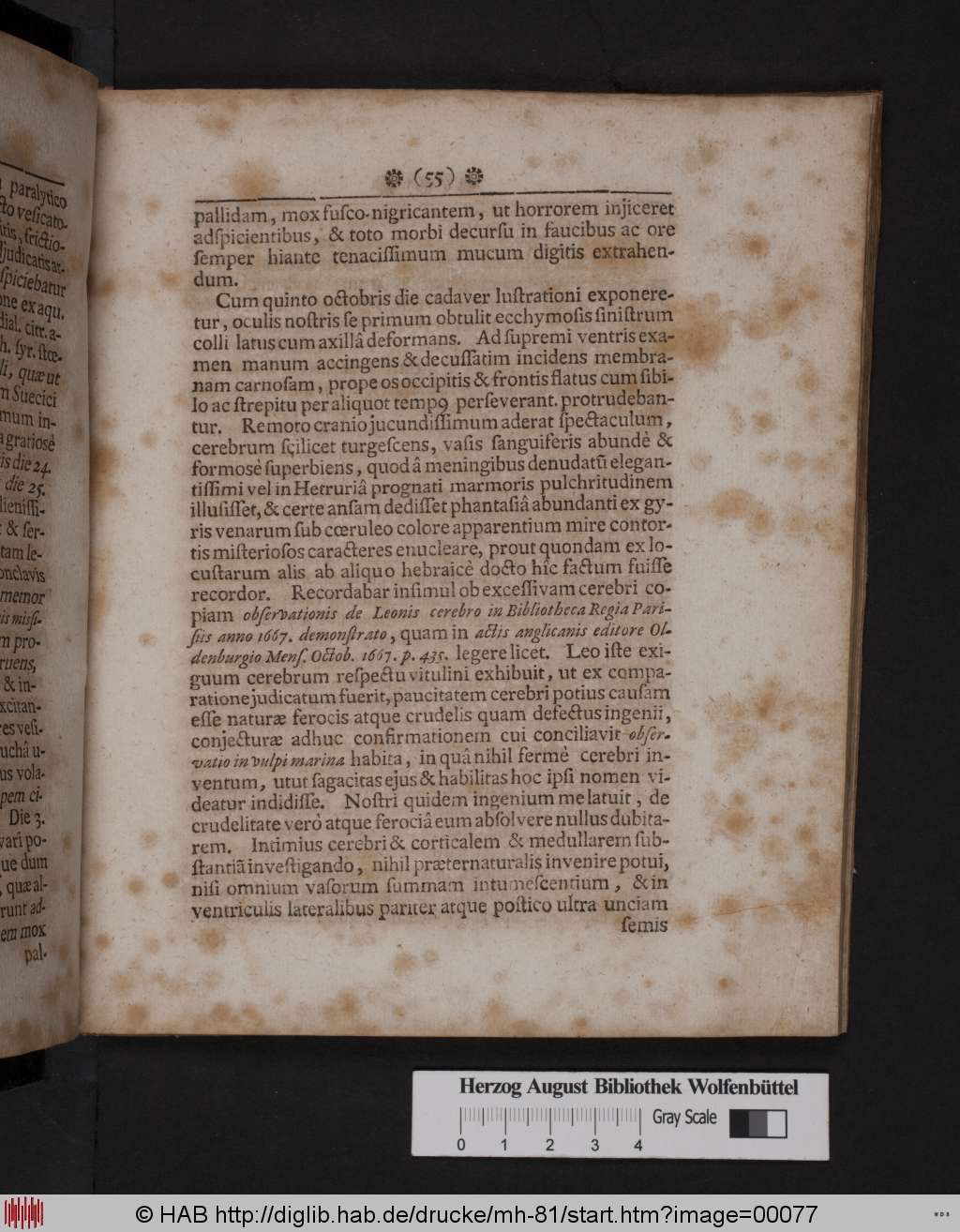 http://diglib.hab.de/drucke/mh-81/00077.jpg