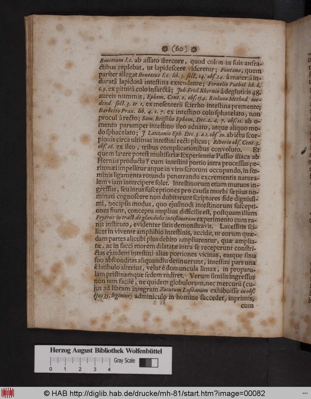 http://diglib.hab.de/drucke/mh-81/00082.jpg