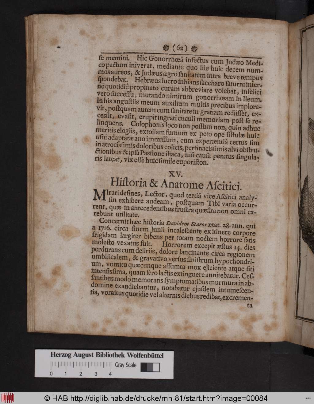 http://diglib.hab.de/drucke/mh-81/00084.jpg