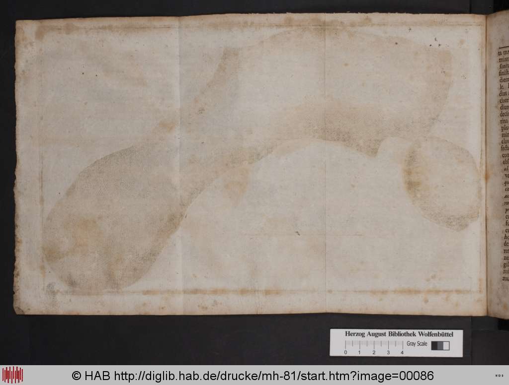 http://diglib.hab.de/drucke/mh-81/00086.jpg