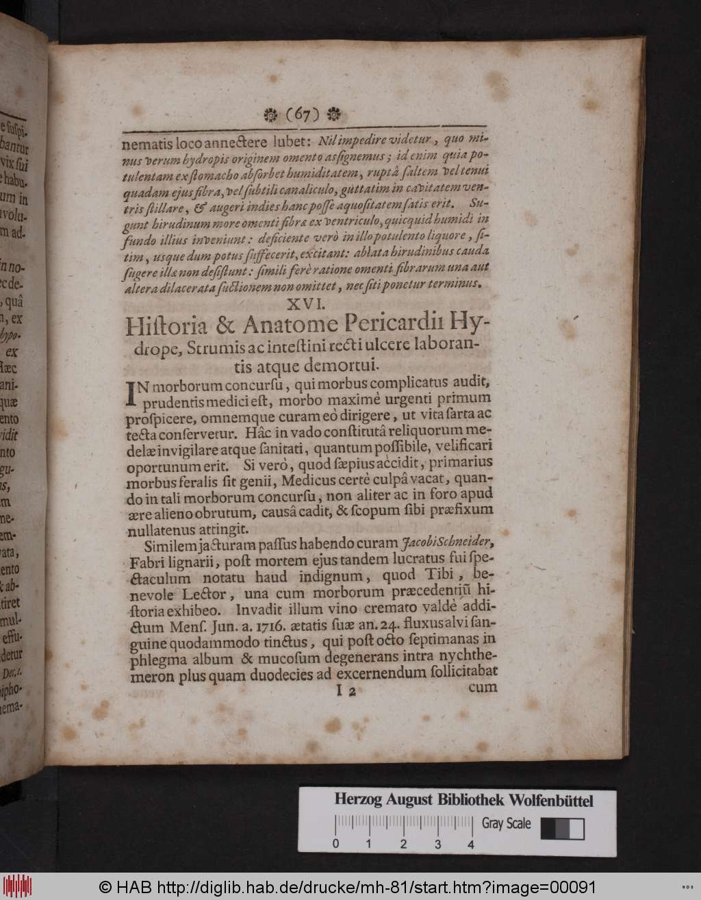 http://diglib.hab.de/drucke/mh-81/00091.jpg